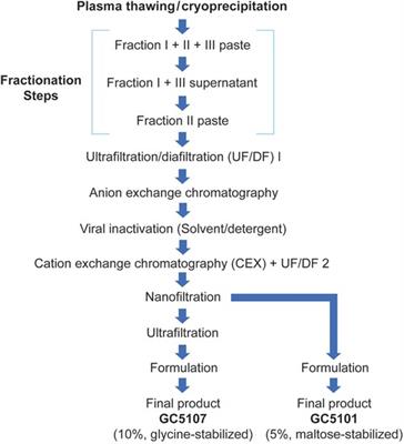 Cation exchange chromatography removes FXIa from a 10% intravenous immunoglobulin preparation